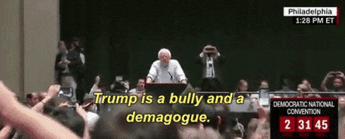 Bernie Sanders Dnc GIF