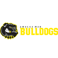 AmbergMadBulldogs flag attack dawgs flagfootball Sticker