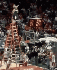 show esta GIF
