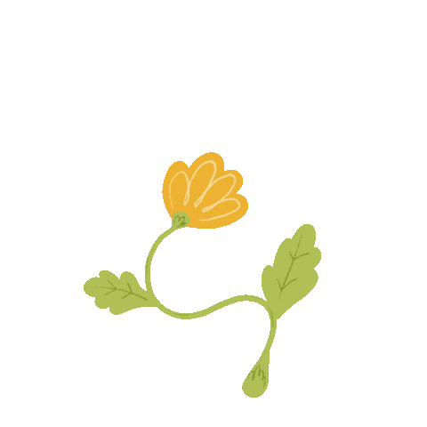 emilyhealey-martin giphyupload art illustration flower Sticker