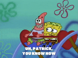 season 1 GIF by SpongeBob SquarePants