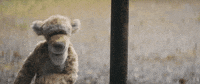 winnie the pooh GIF by Walt Disney Studios