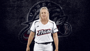 Florida Softball GIF by USSSA Pride