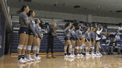 NevadaWolfPack college ncaa volleyball athletics GIF