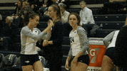 NevadaWolfPack college ncaa volleyball athletics GIF