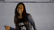 NevadaWolfPack college ncaa volleyball athletics GIF