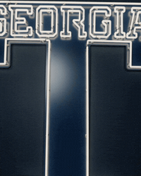 Georgia Tech Baseball GIF by Georgia Tech Yellow Jackets