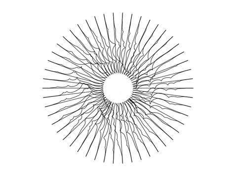 ppaslier giphyupload glitch black and white noise GIF