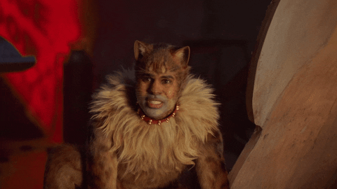 Movie gif. Jason DeRulo as the Rum Tum Tugger in Cats grimaces and his ears flex back.