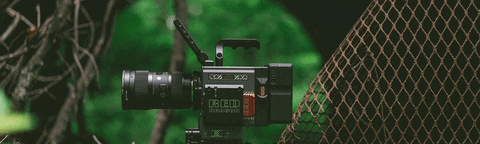 BlakeMarkProductions giphyupload GIF