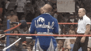 Mr Wonderful Sport GIF by WWE