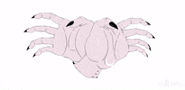 TheDarkSideOfThePrint halloween magic hands witch GIF