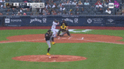 Pittsburgh Pirates Sport GIF by MLB