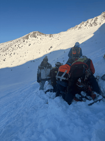 jimfeldkamp giphygifmaker giphyattribution jim feldkamp GIF