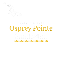 sandestin beach 30a destin sandestin Sticker