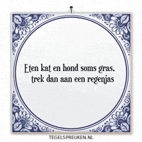 Nl Wijsheid GIF by Tegelspreuken.nl
