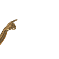 ginger ale gold Sticker by Canada Dry Chile