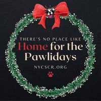 GIF by NYC Second Chance Rescue