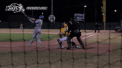 north dakota state baseball GIF by NDSU Athletics