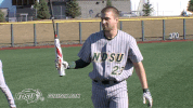 north dakota state baseball GIF by NDSU Athletics