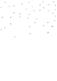 Snow Star Sticker