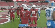 Regular Season Football GIF by NFL
