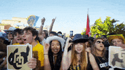 University Of Colorado Coloradobuffaloes GIF by CUBoulder