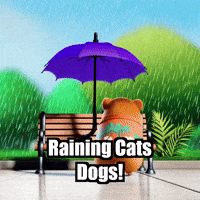 Weather GIF by Guinea Gambino
