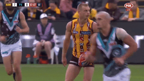 GIF by Hawthorn Football Club