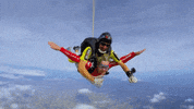 GIF by VTM.be