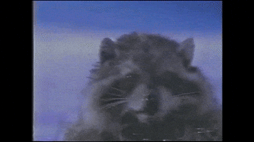 wheres the cream filling?