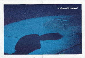 SHOWstudio magazine print new order showstudio GIF