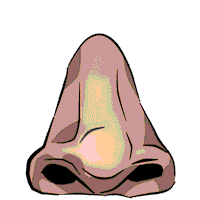 Food Eat Sticker