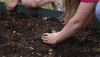 Garden Grow GIF by Roanoke College