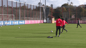 Mats Hummels Goal GIF by FC Bayern Munich