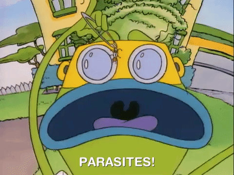 rockos modern life nicksplat GIF