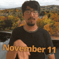November 11Th GIF