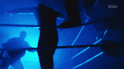 Luna Vachon Wrestling GIF by DARK SIDE OF THE RING