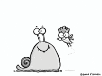 davidoconnelluk hello snail firefly beastiebros GIF