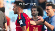 Angry World Cup Final GIF