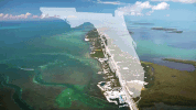florida GIF