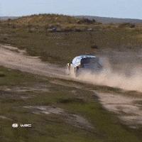 Car Crash GIF by FIA World Rally Championship