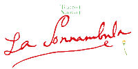 La Sonnambula Sticker by Teatro Nuovo