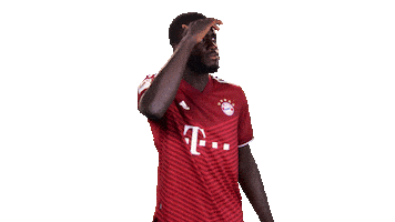 France What Sticker by Bundesliga