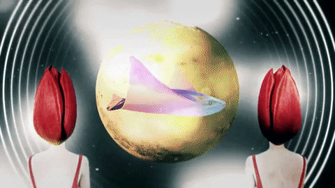 Girl Flowers GIF by Feeder