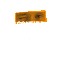 Novo Sticker by Consultoria Cool Ideas