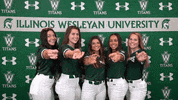 Tgoe Iwusoftball GIF by iwusports
