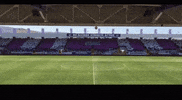 Afyon Afyonspor GIF