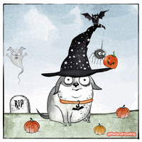 Cat Animation GIF by Red and Howling