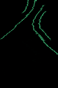 processing threshold GIF by Adam Ferriss